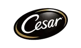 Cesar