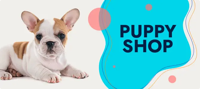 Loja de Cachorros