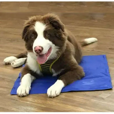 Tapete Gelado Chalesco Pet Cooling Mat - OQA83ROD-G