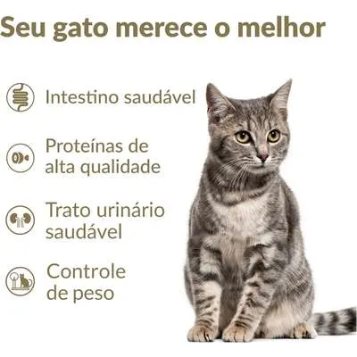 Ração Seca Nutrilus Pro+ Frango para Gatos Adultos - VJVJN6LQ-10KG